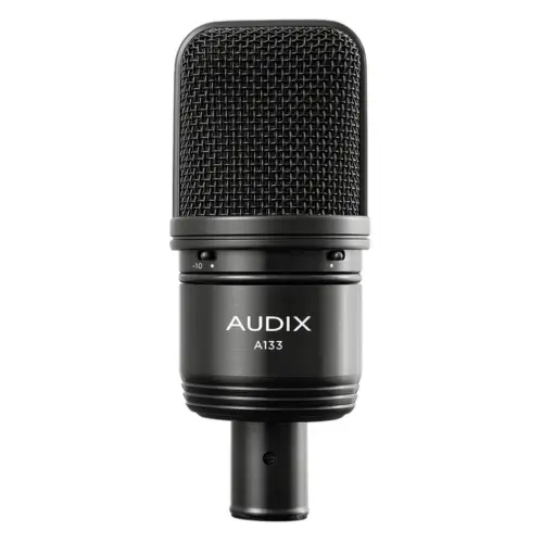 Audix A133