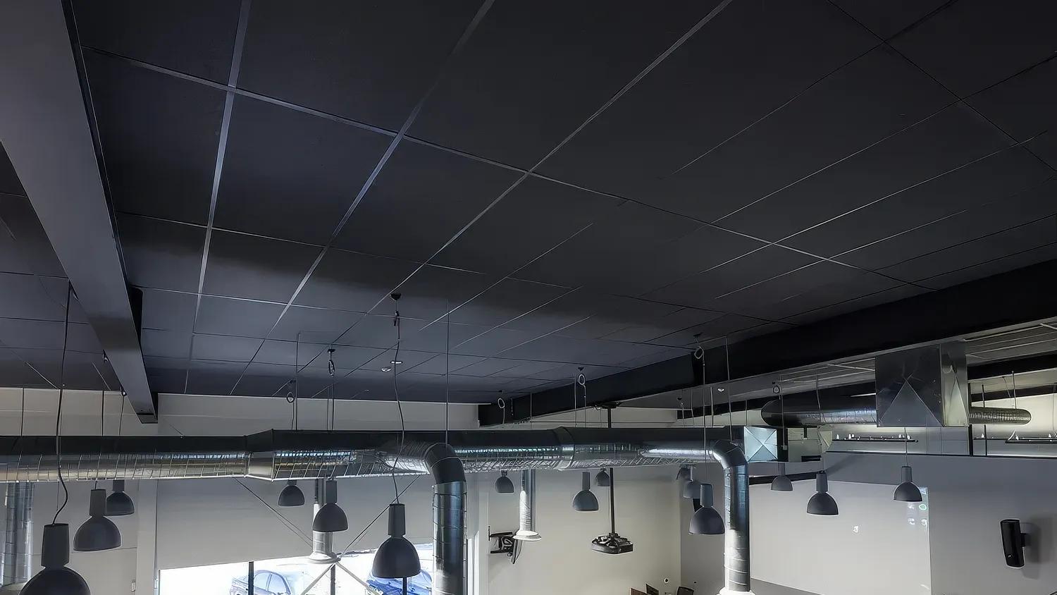 Autex Accent Ceiling Tiles