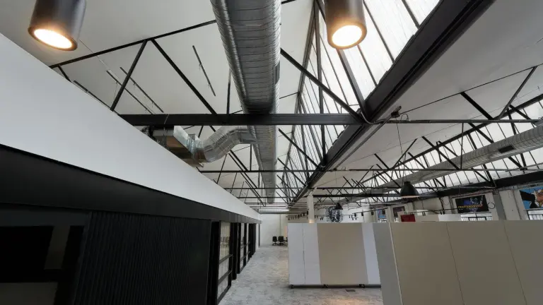 Case Study: Renovated Warehouse